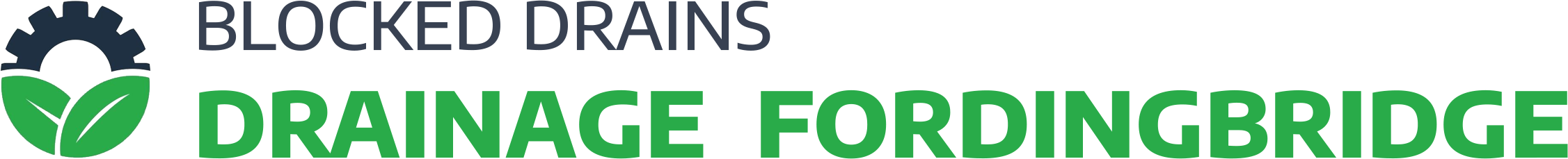 website logo